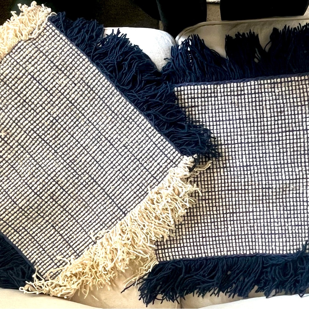 20 inch Crate and Barrel pillow covers